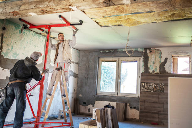 Best Commercial Insulation in Olivia, MN