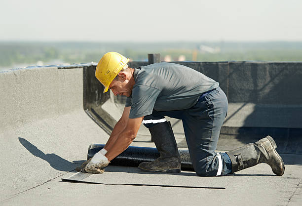 Best Insulation for Specific Applications in Olivia, MN