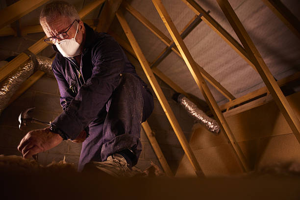 Best Insulation Installation Services in Olivia, MN
