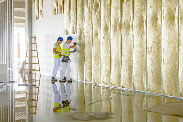 Professional Insulation Contractor in MN